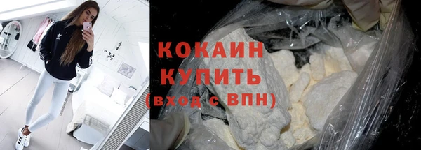дживик Бородино