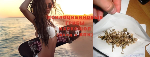 дживик Бородино