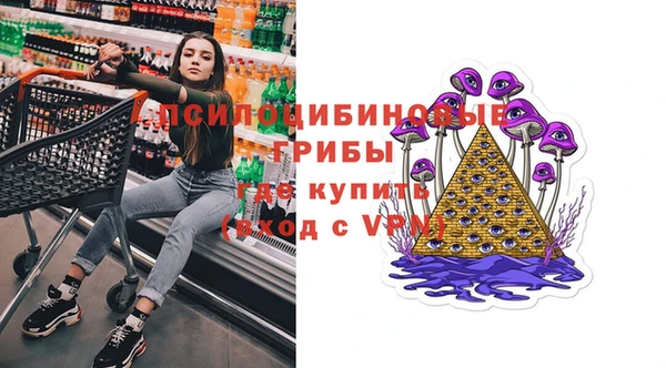 PSILOCYBIN Богородск