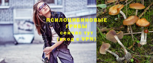 PSILOCYBIN Богородск