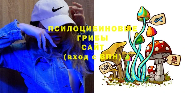 ГАЛЛЮЦИНОГЕННЫЕ ГРИБЫ Бугульма