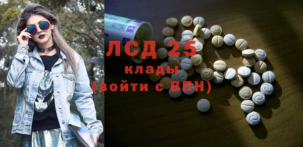 дживик Бородино