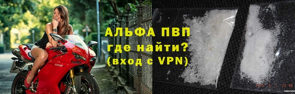 дживик Бородино