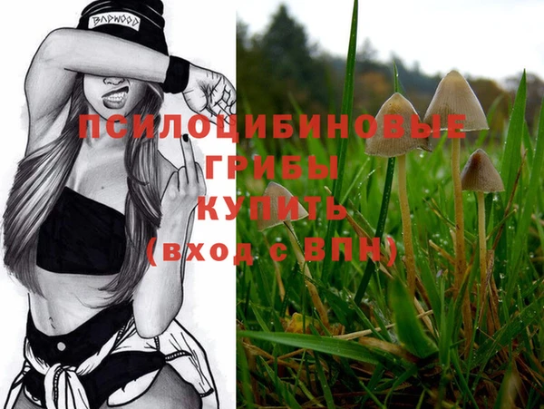 PSILOCYBIN Богородск