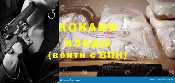 дживик Бородино