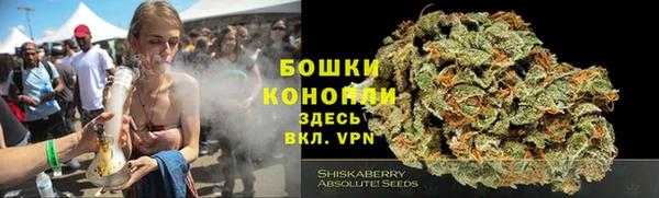 PSILOCYBIN Богородск