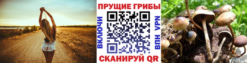 mega   Моршанск  Галлюциногенные грибы Magic Shrooms 